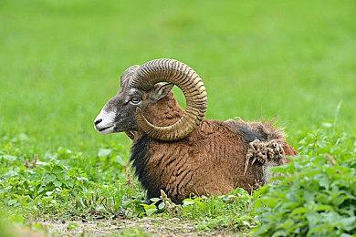 《死亡空间：重制版》Steam三折新史低促销 74.4元