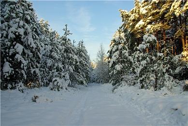 《永远的超级肉食男孩》正式上线 综合评价“褒贬不一”